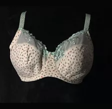 1st & Curve Bra Melrose Underwire Green Ivory Floral Sexy Plush Discontinued 40G