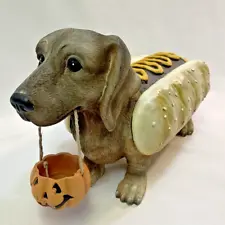 Cracker Barrel Adorable Dachshund "Too Cute to Spook" Hot Dog Halloween Costume