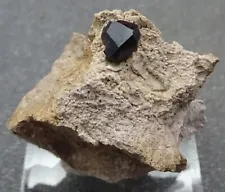 Almandine Garnet in Rhyolite, Nevada- Mineral Specimen for Sale