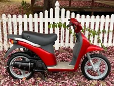 Piaggio Free 50cc Scooter Imported Great Condition Very Rare Only One In the US