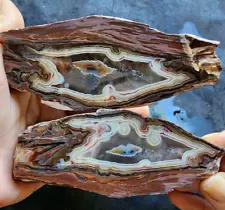 14 oz (397 gr) Floater Agate, Agates for Sale, Agate Half, Agate Turkey, めのう, 玛瑙