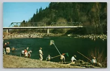 Dip Netters Fishing for Smelt Sandy River Near Portland Oregon Postcard