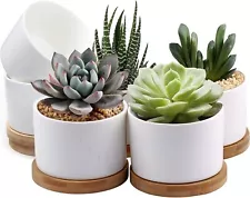 White Ceramic Succulent Pots with Bamboo Tray - 6 Pack - L2.119