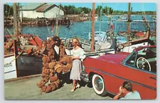 Tarpon Springs Florida~Sponge Fleet @ Harbor~Vintage Postcard