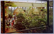 Hershey Tropical Garden Cocoa Trees HERSHEY'S Chocolate World Postcard 3060