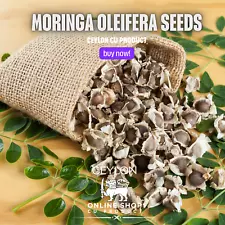 FRESH Moringa Oleifera Drumstick Seeds for Planting NON-GMO Fast growing 2024