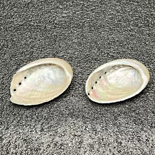 2 Abalone Seashells Clam Shells 1.75" Long - Crafts Aquarium Wedding Beach Decor