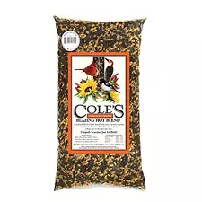 Blazing Hot Bird Seed 20 lbs Spicy Blend for Wild Birds Premium Quality