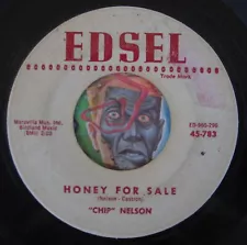 HEAR Chip Nelson 45 Honey For Sale / Quiet As It's Kept rockabilly R&B rocker