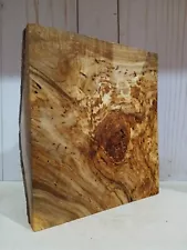 Xl Wormy SPALTED MAPLE Burl Wood, Craft wood, Turning wood, epoxy, Bowl Blank