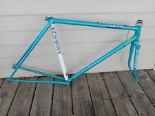 Vintage 53cm Schwinn Tempo Lugged Steel Road Bike Frameset Tenax Columbus Tubing