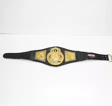 Authentic Ringside Boxing Championships Belt 48" - Brass Plate