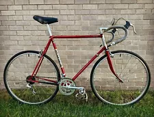 1983 Trek 600 Road Touring Bike - Reynolds 531