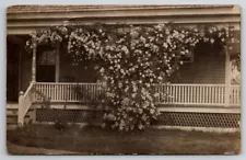 RPPC Beautiful Climbing Rose Bush On Porch Real Photo Postcard Q26