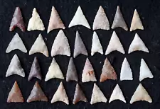 29 common, Sahara Neolithic triangular style projectile points/tools