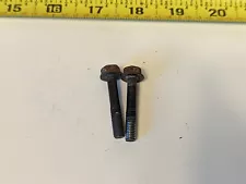 Honda Nighthawk 550 CB550SC Starter Mounting Bolts (For: Honda Nighthawk 550)