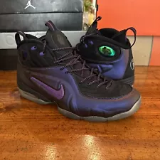 Sz 12 - Nike 1/2 Cent Eggplant Penny Foamposite Half 1 2 3 4 Hybrid Black Purple