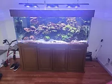 Reef Aquarium 220 Gallon