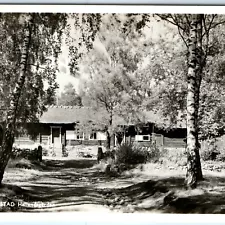 c1920s Halmstad, Sweden RPPC Hallandsarden Birch Trees Cabin Thatched Roof A348