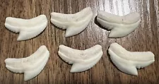 Lot of 6 Tiger Shark Tooth Teeth 3/4” Long