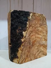 Xl Wormy SPALTED MAPLE Burl Wood, Craft wood, Turning wood, epoxy, Bowl Blank