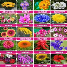 Flower Seeds :Plant Seeds Outdoor Combo of 20 Packet of Seeds Garden Flower Seed