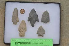 KY TN OH IN NJ PA NY 5 Pc. Cave Dig Indian Arrowheads Artifacts Lot #4