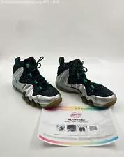 Nike Barkley Posite Max Metallic Silver Gamma Blue 555097-040 - Size 11 w/COA