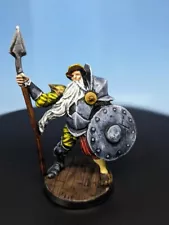 Don Quixote painted mini by CMON Miniatures Rum and Bones DnD