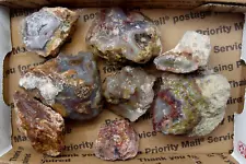 32 Ounces (2 Pounds) Laguna Agate Rough for Specimens and/or Cabochons Mexico