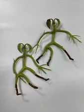 Fantastic Beasts And Where to Find Them Bowtruckle Bendable Figure Toy (T2)