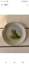 Vintage Hand Painted Norwich Terrier Ring Plate made in Bavaria Germany Set Of 7