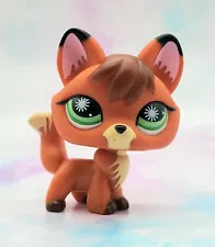 Littlest Pet Shop Authentic # 807 Tan Brown Fox Green Starburst Eyes