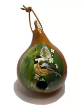 Hand Painted Dried Gourd Birdhouse - New - 10" X 7.5" - chickadee