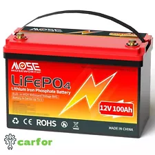 12V 100Ah LiFePO4 Lithium Battery,15000 Deep Cycles,Low Temp Cut off,MOSEWORTH