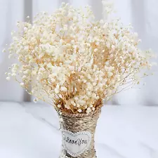 2000+ Dried Babys Breath Flowers Bulk - 17" Ivory White Dried Flower Bouquet, Re