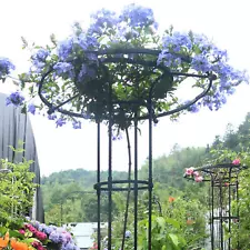 Vertical Umbrella Trellis Tower Garden Trellis Climbing Plants Support for Vine