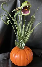 New Halloween Spooky Venus Flytrap