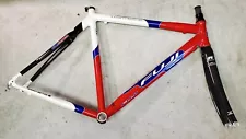 Unbuilt Fuji Team Issue Frameset circa. early 2000's