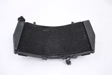 Radiator Ducati 848 EVO 08-13 OEM (For: Ducati 848 EVO)