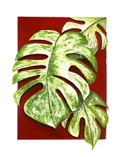 Monstera Thai Constellation Botanical Fine Art, Print for Cheese Plant Lovers