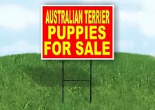 australian terriers for sale