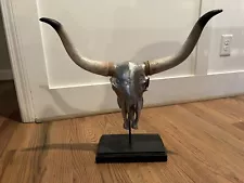 Longhorn Skull Decoration