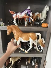 Breyer Dan Van Custom Morgan