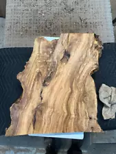 #853 OLIVE wood large 24x22 burl slab 200 yr old Rawcut FREE SHIPPIING