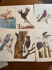 6 Audubon art Prints