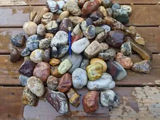 30 Lbs - Variety Of Jasper's, Quartz, Fossil, Petrified Wood & Agate For Sale