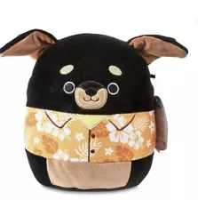 Squishmallow 8" Mateo the Black Rottweiler in Orange Hawaiian Shirt Soft PLUSH