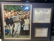 Photo Of Tiger Woods Framed / Double Matted with Stats