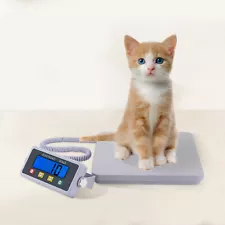 doctor scale for sale